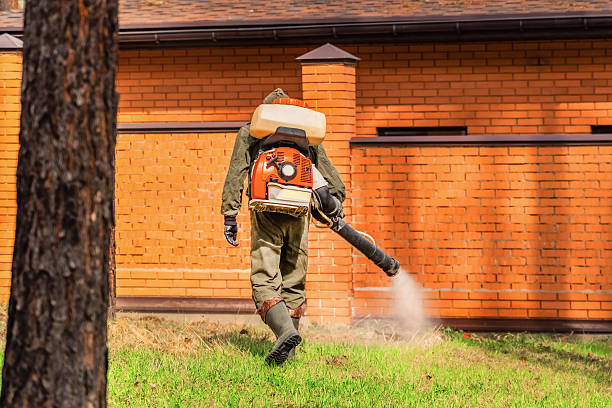 Trusted Ant Control service in Villanova, PA - Nex Pest Control